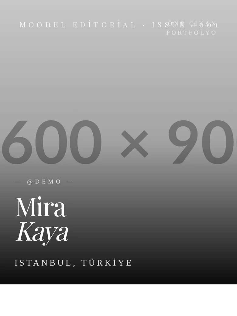 editorial teması önizleme